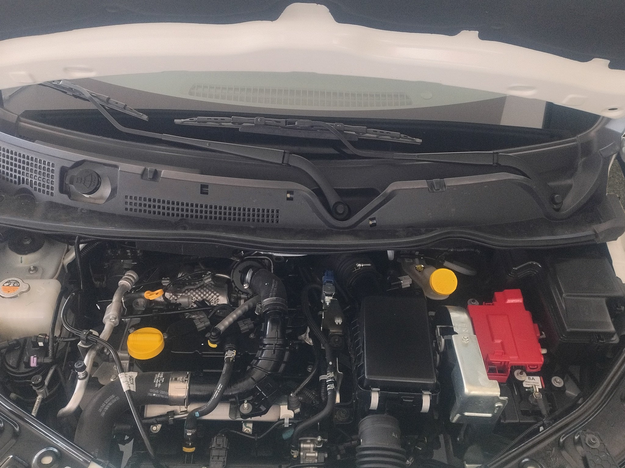 2025 Nissan Magnite VUD 5 pts. Exclusive, 1.0T, TM5, piel, RA-16